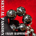 5 Ball Stainless Steel Anal Beads