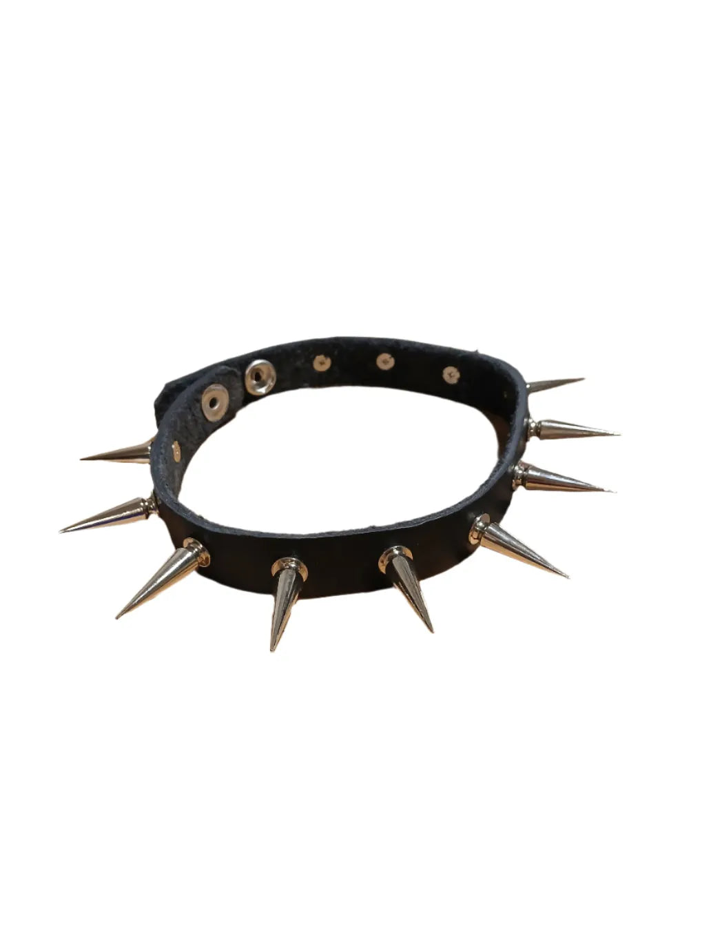"STLW" 3/4" Leather Studded Collar 12 x 28mm Studs