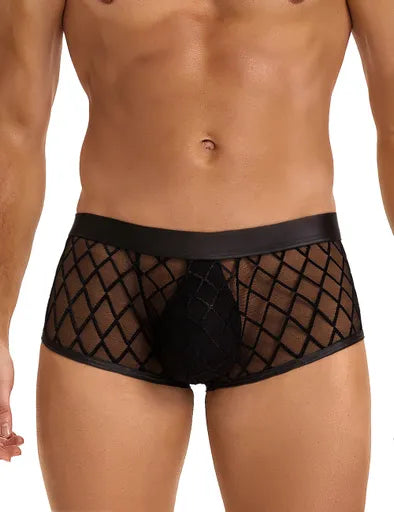 Black fishnet underwear worn by a person on a white background