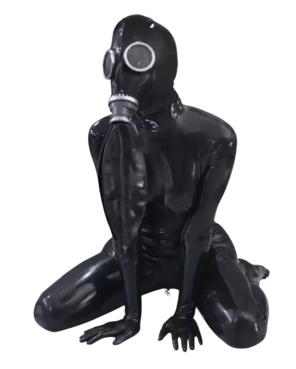 Ftshist Silica Gel Gas Mask