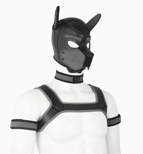 Pup Play 5pc Combo (Choose your color)