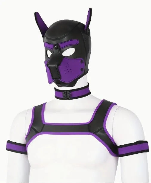 Pup Play 5pc Combo (Choose your color)