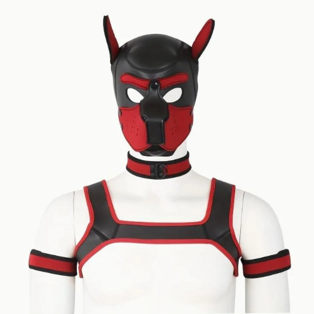 Pup Play 5pc Combo (Choose your color)