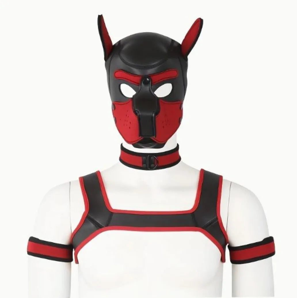 Pup Play 5pc Combo (Choose your color)