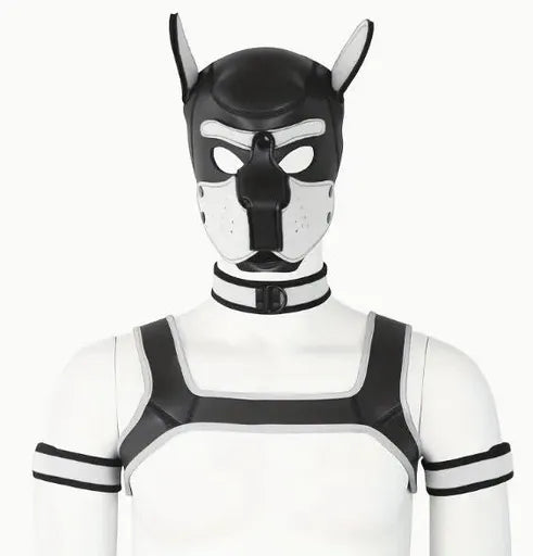 Pup Play 5pc Combo (Choose your color)