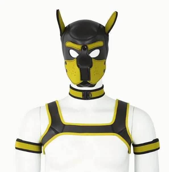 Pup Play 5pc Combo (Choose your color)