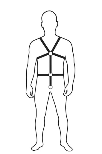 "STLW" Leather Masters Buckle Harness